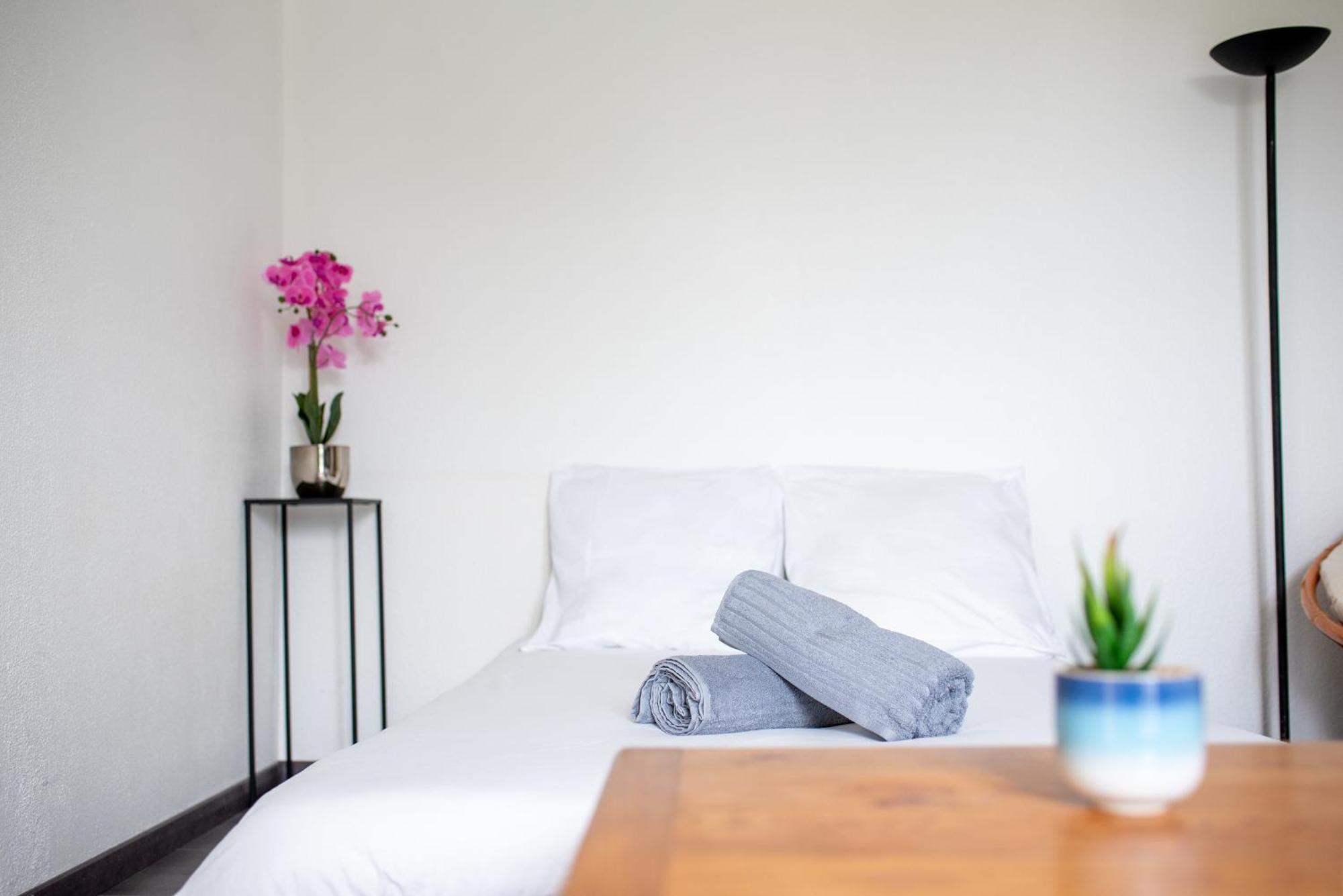 T2 Rangueil - Terrasse + 2 Parkings - 4 Personnes Lejlighed Toulouse Eksteriør billede